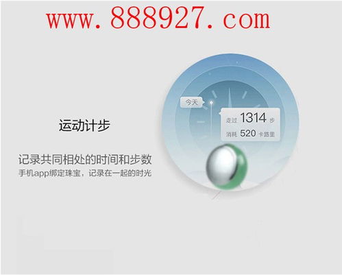 深圳西鄉(xiāng)藍(lán)牙4.0 App開發(fā)價(jià)格解析與網(wǎng)絡(luò)技術(shù)服務(wù)指南
